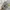 Adidas Streetwear Sportswear Sneakers Pria green photo 5
