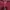 Adidas Casual Track jacket Pria burgundy red photo 2