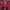 Adidas Casual Track Jacket Pria Burgundy Red