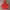 Millet Streetwear Sportswear Windbreaker Pria red photo 1