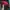 NEPA Gorpcore Windbreaker Pria red black photo 6