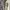 WHO.A.U Vintage Casual Fleece Pria tan photo 2