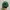 Von Dutch Biker Casual Hat Pria multicolor photo 5