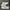 Adidas Casual Sneakers Pria white green photo 5
