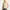 Polo Ralph Lauren Minimalist Casual Formal shirt Pria cream photo 5