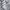 JOURNAL STANDARD Casual Casual shirt Pria white photo 5