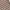 VANS Casual Sneakers Pria brown black photo 6