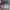 Nike Streetwear Sportswear Sneakers Pria multicolor photo 2