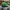 Casual Hat Pria green photo 4