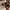 MLB Casual Hat Pria burgundy photo 6