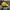 New Era Casual Hat Pria yellow photo 4