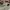 Casual Hat Pria white photo 6