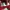 The North Face Casual Pria burgundy photo 3