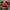 Casual Hat Pria orange photo 4