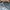 Casual Hat Pria gray photo 6