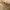 Kansai Yamamoto Vintage Avant Garde Polo shirt Pria brown photo 2