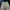 Minimalist Culotte Wanita cream photo 1