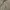Polo Ralph Lauren Vintage Streetwear Jumper Pria Tan