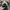 Casual Hat Pria multicolor green photo 3