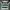 Vintage Jersey Pria green photo 1