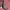 Vintage Y2K Bomber jacket Pria pink black photo 7