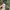 New Look Y2K Casual Formal shirt Pria green photo 2