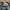 Birkenstock Casual Hat Pria Gray
