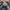 Birkenstock Casual Hat Pria gray photo 1