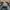 Birkenstock Casual Hat Pria Gray