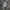 Carhartt Vintage Reworked Dungaree Pria gray photo 1