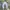 Carhartt Vintage Reworked Dungaree Pria gray photo 3