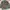 BDU British DPM Tropical
Original L photo 1