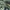 BDU British DPM Experimental Prototype Original L fit XL photo 2