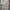 Adidas Streetwear Y2K T-shirt Pria multicolor tan photo 1