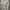 Adidas Streetwear Y2K T-shirt Pria Multicolor Tan