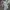 Adidas Streetwear Y2K T-shirt Pria multicolor tan photo 5