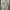 Adidas Streetwear Y2K T-shirt Pria multicolor tan photo 6