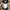 VANS Casual Sneakers Pria White Black