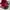 The North Face Streetwear Y2K Bag Pria pink black photo 7