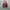 The North Face Streetwear Y2K Bag Pria pink black photo 3