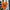 Nike Streetwear Casual Sneakers Wanita multicolor photo 5