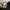 Nike Streetwear Casual Sneakers Pria multicolor photo 6