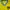 Asics Streetwear Sportswear Jersey Pria yellow photo 2
