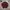 Japanese brand Vintage Casual Cardigan Pria burgundy brown photo 2
