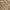Japanese brand Vintage Casual Sweater Pria tan cream photo 3