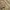 Japanese brand Vintage Casual Sweater Pria tan cream photo 4