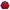 Streetwear Biker Bomber jacket Pria multicolor photo 4