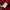 Biker Sportswear Bomber jacket Pria multicolor photo 8