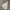 Uniqlo Casual Hoody Pria gray photo 1