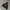 Milkboy Casual Hoody Pria black photo 3